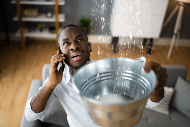 Best Water damage restoration cost  in Colwich, KS