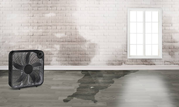  Colwich, KS Water damage restoration Pros