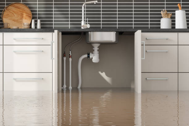 Best Water damage repair service  in Colwich, KS