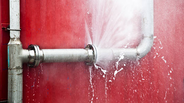 Best Sewage cleanup and water damage restoration  in Colwich, KS