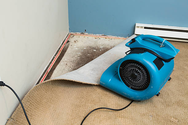Best 24/7 water damage repair  in Colwich, KS
