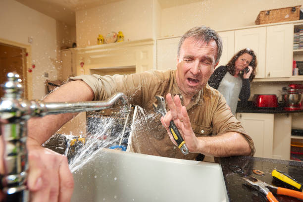 Best Professional water damage repair  in Colwich, KS